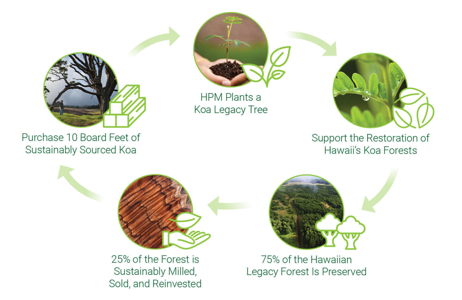 Koa Wood HPM Building Supply